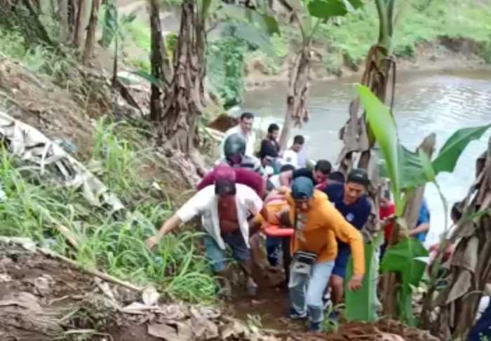 Tragedia en Las Bahías: Anciana pierde la vida tras ser golpeada por una rama de árbol