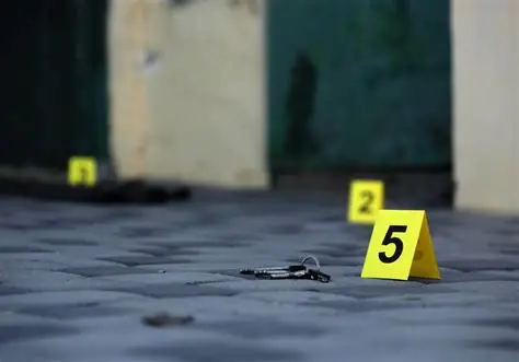 Policía Nacional reporta que tasa de homicidios se mantiene en 7.30 por cada 100 mil habitantes