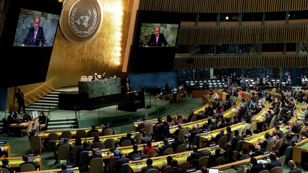 Más de 80,000 firmas llegan a la ONU para exigir medidas contra Israel por la guerra en Gaza