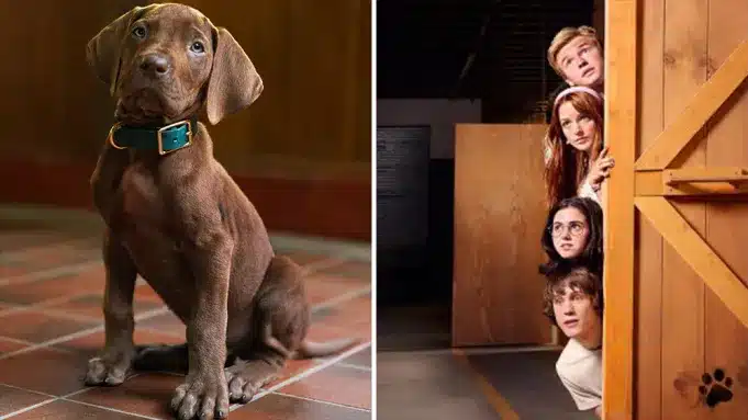 Netflix revela adelanto de la serie live-action de Scooby-Doo y confirma estreno para 2027