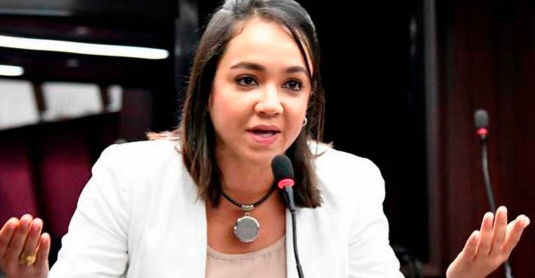 Faride Raful revela que seis de cada diez homicidios en República Dominicana están vinculados a conflictos sociales