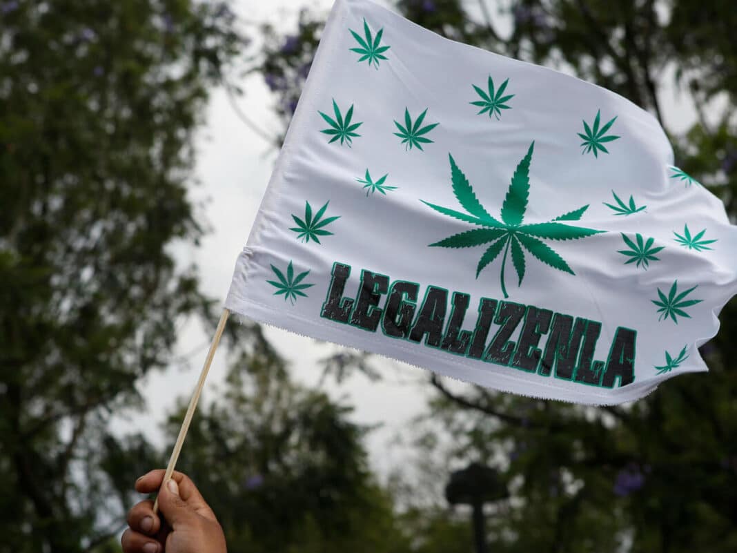Miles toman las calles de São Paulo para exigir la legalización total de la marihuana en Brasil