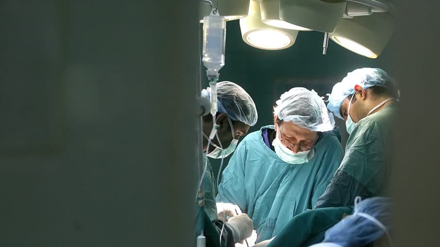 España marca un hito médico con el primer trasplante simultáneo de intestino y páncreas