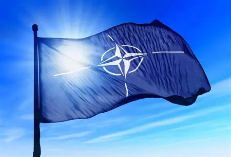 Detienen en Bélgica a becaria de la OTAN por presunto espionaje para un tercer país