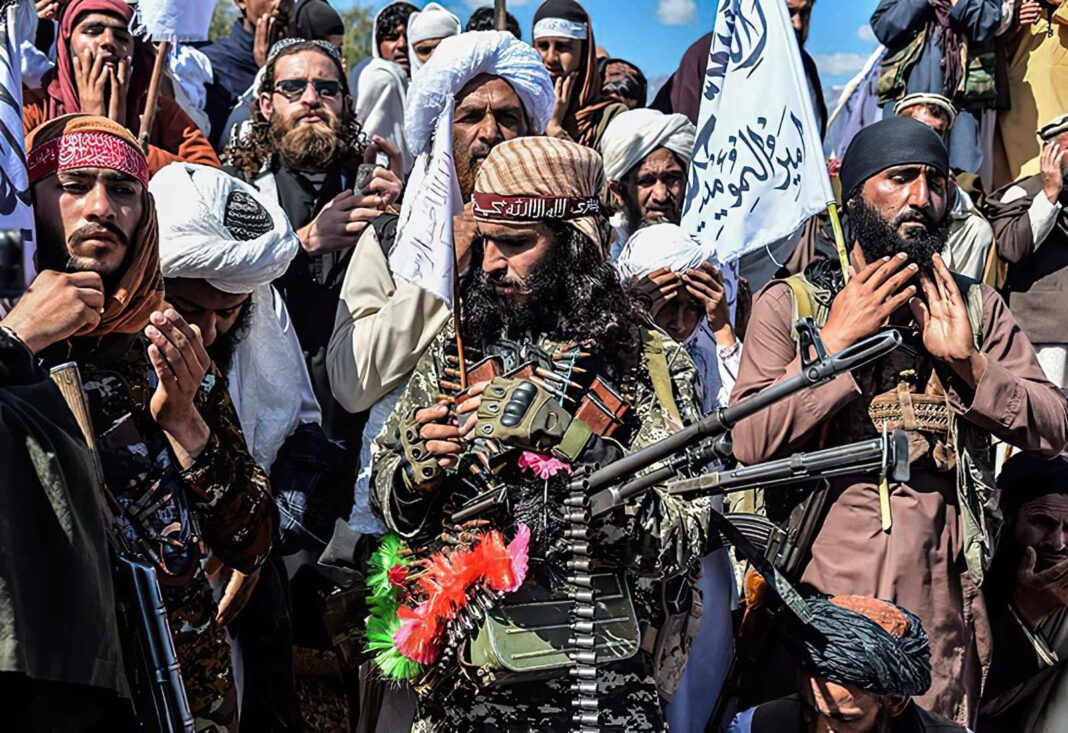 Talibanes reportan casi 900 muertos en enfrentamientos con Pakistán y cuestionan cifras de la ONU