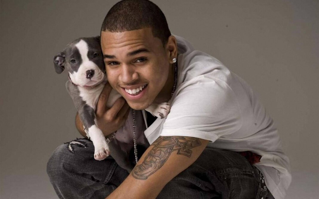 Chris Brown deberá pagar US$13 millones por ataque de su perro a una empleada doméstica