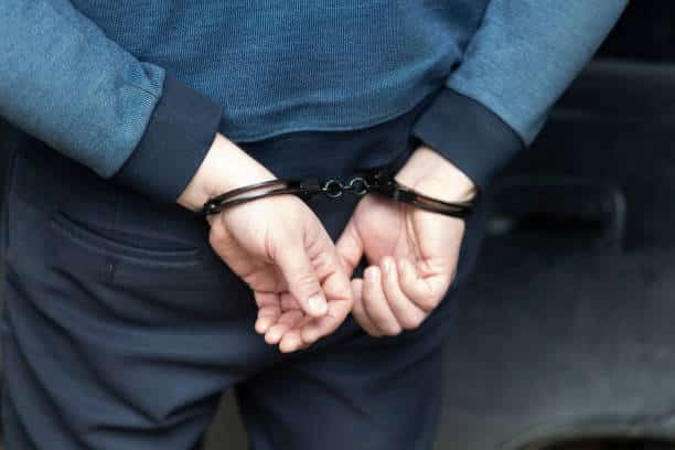 Periodista opositor en Georgia es condenado a dos semanas de arresto por insultos en redes sociales