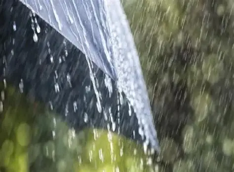Lluvias intensas ponen en alerta al Gran Santo Domingo y varias provincias este lunes