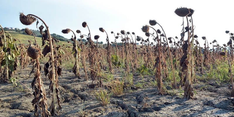 Honduras declara alerta roja en 75 municipios por fuerte sequía asociada a El Niño