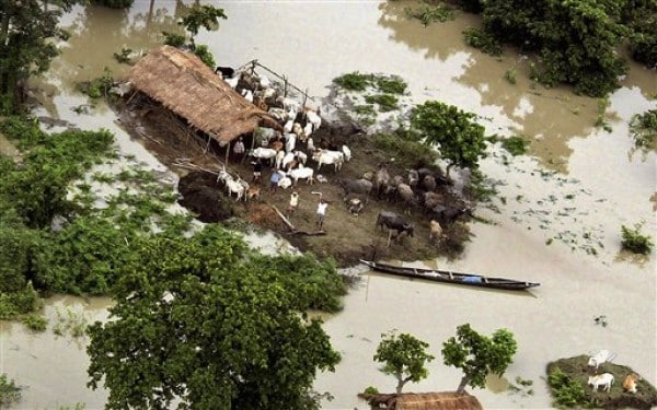 Fuertes lluvias en la India dejan al menos 115 fallecidos y miles de desplazados