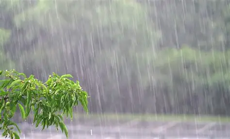 La lluvia no da tregua: onda tropical se aleja y aumentan las probabilidades de tormentas este viernes