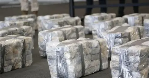 Nueve dominicanos son detenidos en Italia por presunta vinculación con red internacional de narcotráfico