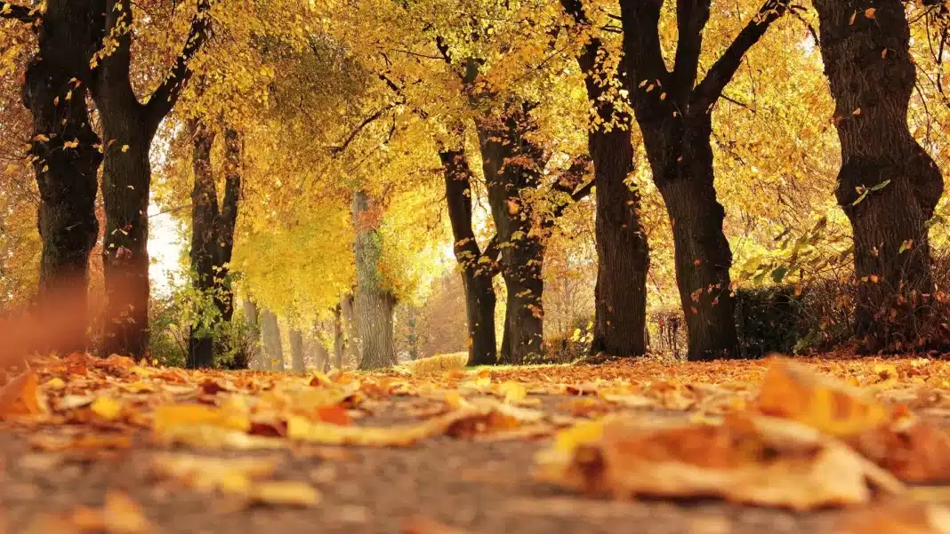 El otoño llega al país entre lluvias, tormentas y temperaturas de hasta 35 °C