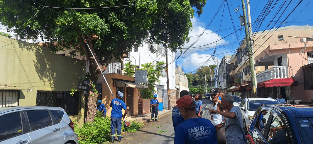 Alcaldía intensifica operativos de poda y limpieza preventiva ante incidencia de aguaceros en la capital