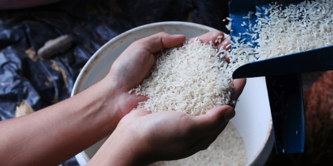 Abinader busca proteger el arroz dominicano ante eliminación de aranceles