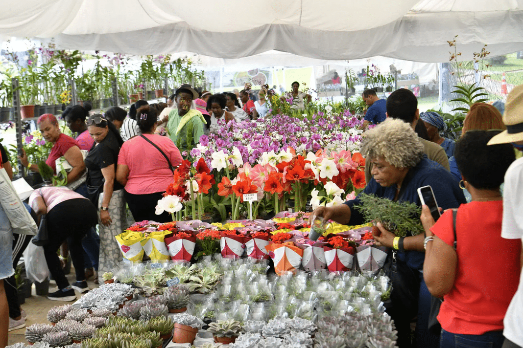 Jardín Botánico inaugura festival con 119 empresas y nuevas atracciones