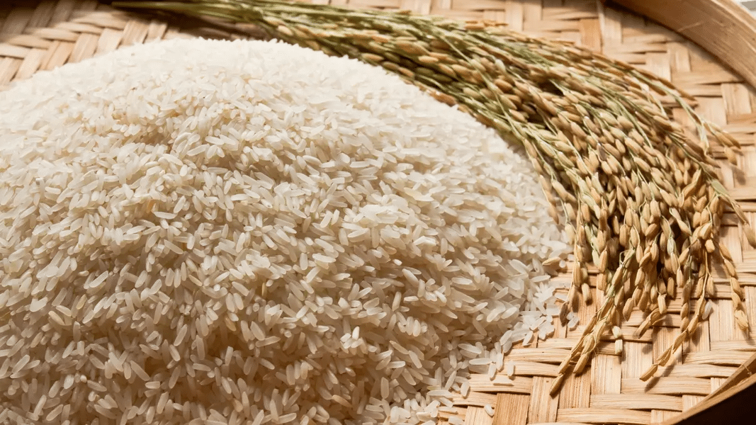 ONPECO pide proteger a los arroceros ante riesgos de importaciones