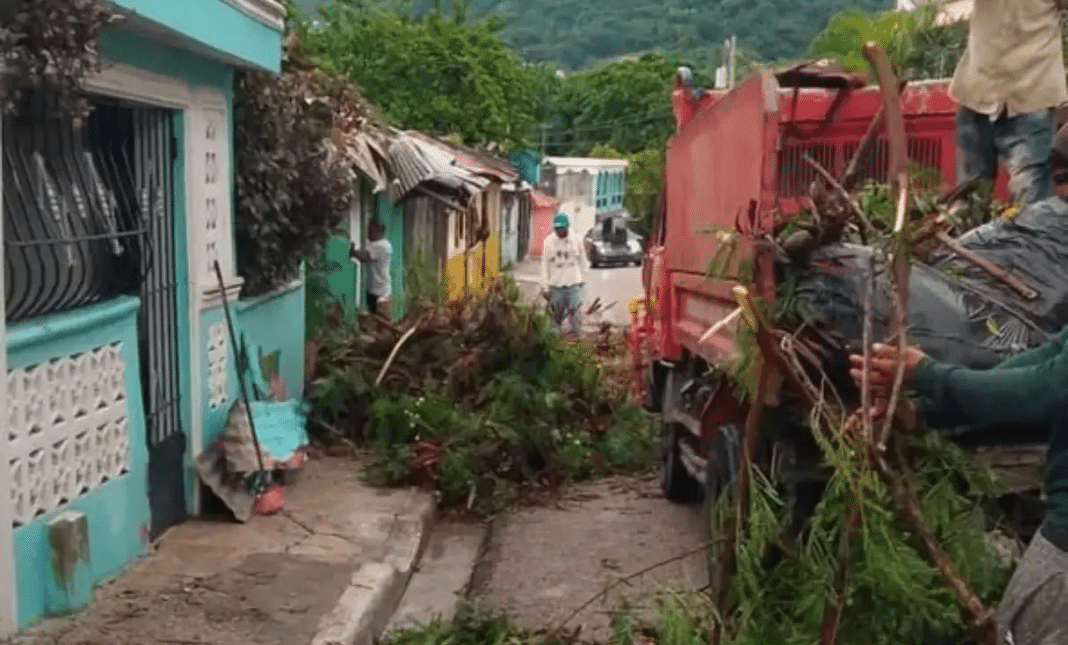 Alcaldía de Barahona retira árboles caídos tras fuertes lluvias