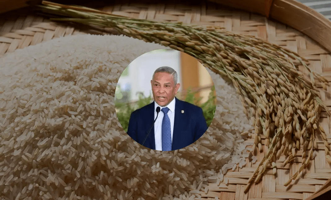 Proyecto busca reservar 50 % de ayudas directas para pequeños arroceros